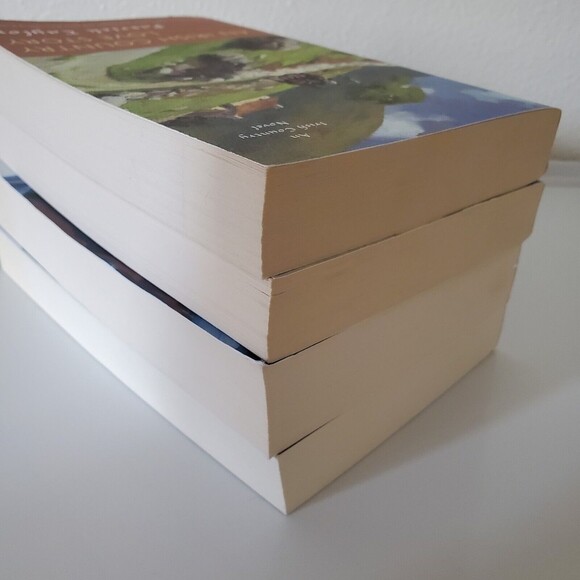 Patrick Taylor Novels Lot of 4 An Irish Country LoveStory Family Trade Paperback - Picture 4 of 5